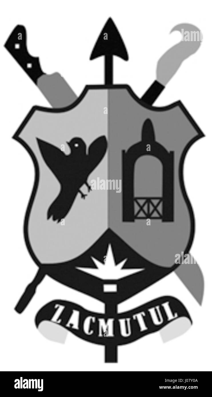 L'Escudo Motul si riferisce a uno scudo araldico o emblema che rappresenta la città di Motul, Yucatán, Messico. È tipicamente associata all'identità locale e al patrimonio culturale della città, con simboli che riflettono la storia e i valori della regione. Foto Stock
