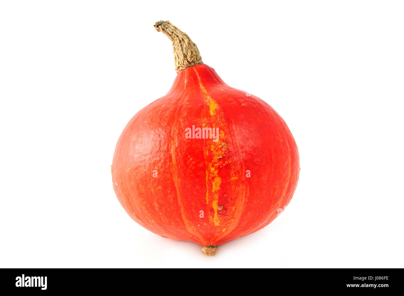 Red hokkaido zucca bianco su sfondo isolato. Foto Stock