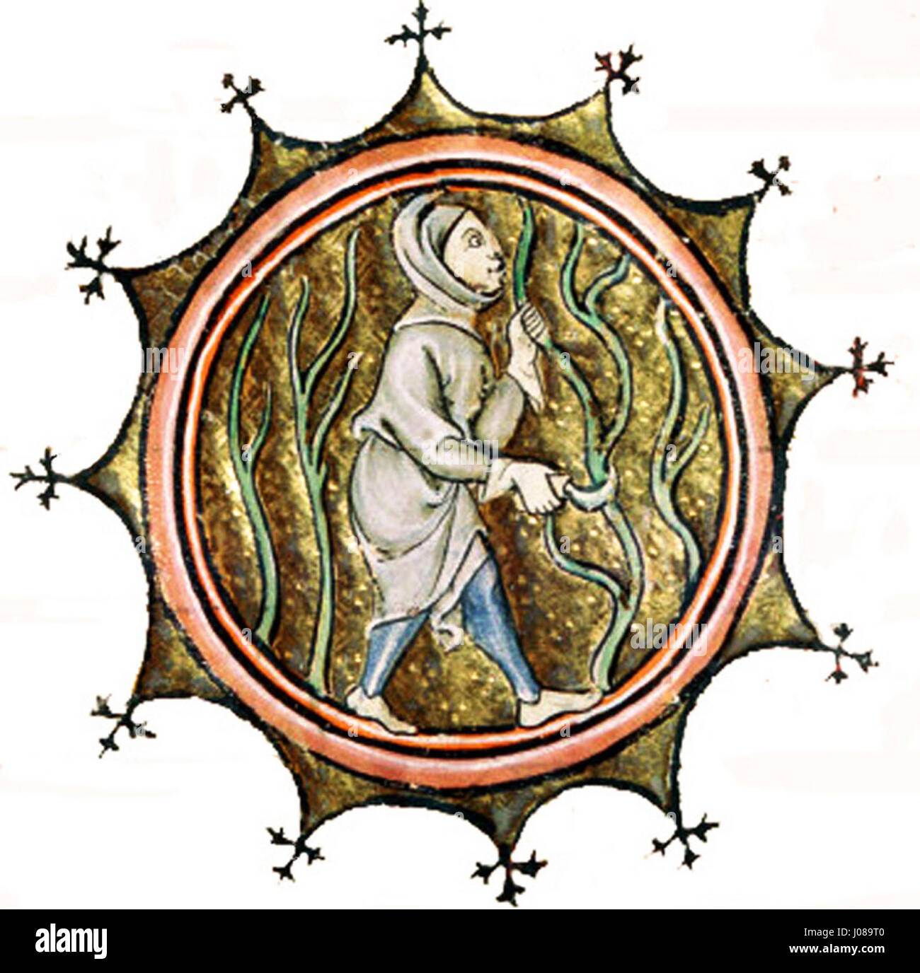 La miniatura 'Taille' del periodo medievale esemplifica la dettagliata maestria artigianale del tempo, con intricati disegni spesso utilizzati per manoscritti religiosi o storici. L'opera mette in risalto l'arte della pittura in miniatura, mostrando dettagli raffinati in una composizione su piccola scala. Foto Stock La miniatura 'Taille' del periodo medievale esemplifica la dettagliata maestria artigianale del tempo, con intricati disegni spesso utilizzati per manoscritti religiosi o storici. L'opera mette in risalto l'arte della pittura in miniatura, mostrando dettagli raffinati in una composizione su piccola scala. Foto Stock