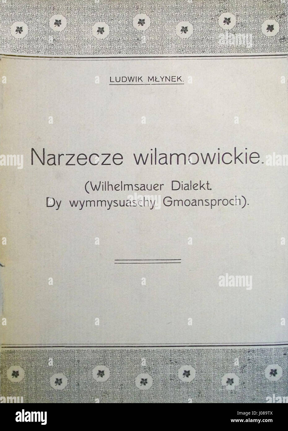 Questo disegno di copertina di Ludwik Młynek per il suo lavoro sul dialetto Wilamowice evidenzia l'importanza della lingua e dell'identità culturale per la comunità Wymysorys. La copertina funge da simbolo di conservazione linguistica. Foto Stock