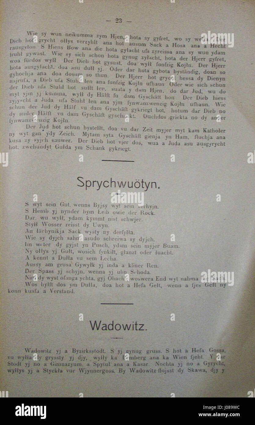 Il lavoro di Ludwik Mlynek sul dialetto Wilhelmsauer (Narzecze wilamowickie) evidenzia le caratteristiche linguistiche uniche della regione di Wilamowice in Polonia. Questo lavoro, presentato nella 23a pagina, serve come documento importante per la conservazione dei dialetti locali e del patrimonio culturale. Foto Stock
