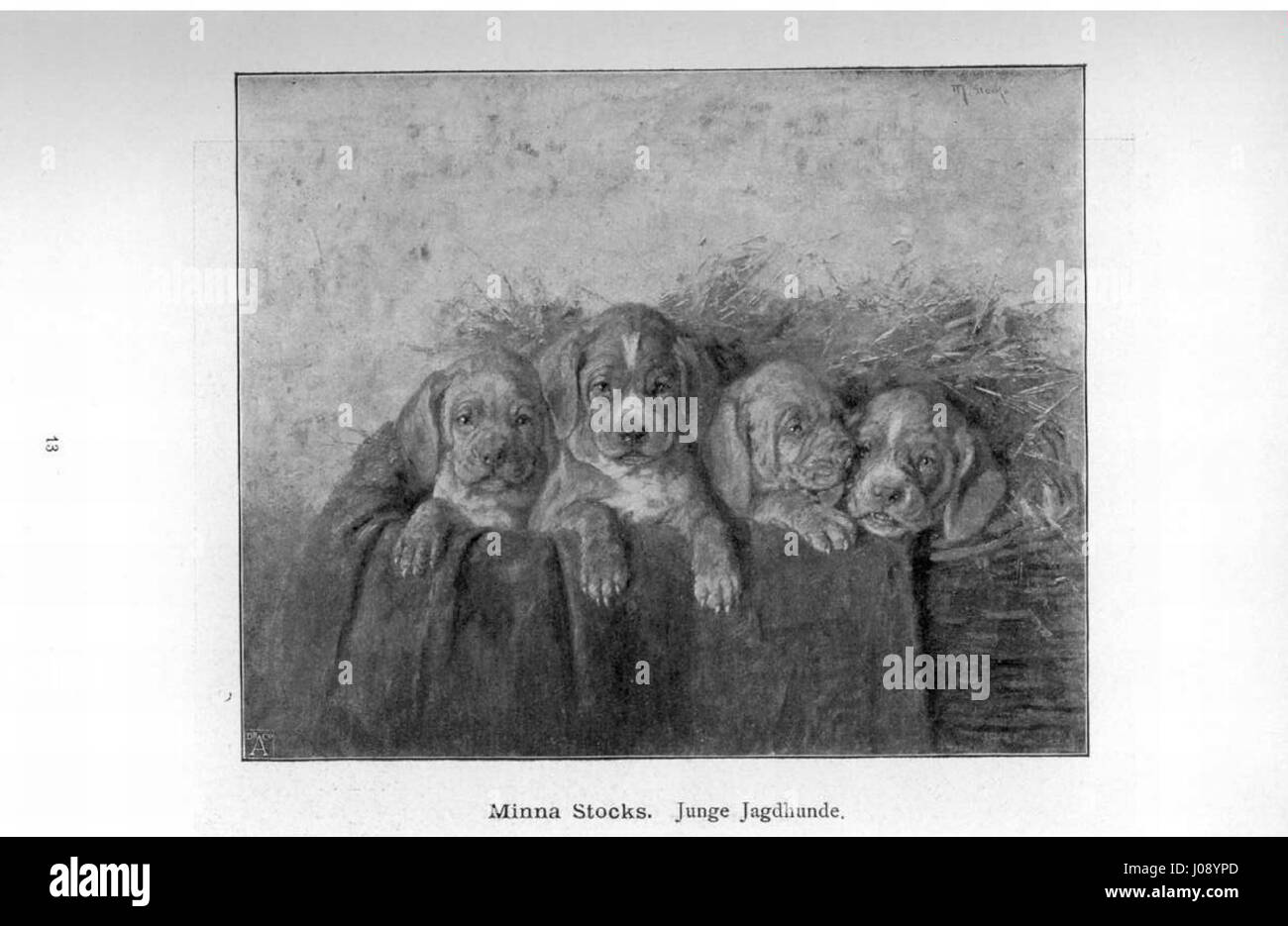 Un'illustrazione in bianco e nero del 1896 con quattro cuccioli sdraiati insieme nel fieno, forse un'incisione, attribuita a Minna Stocks, intitolata "Junge Jagdhunde" (Giovani cani da caccia). Foto Stock