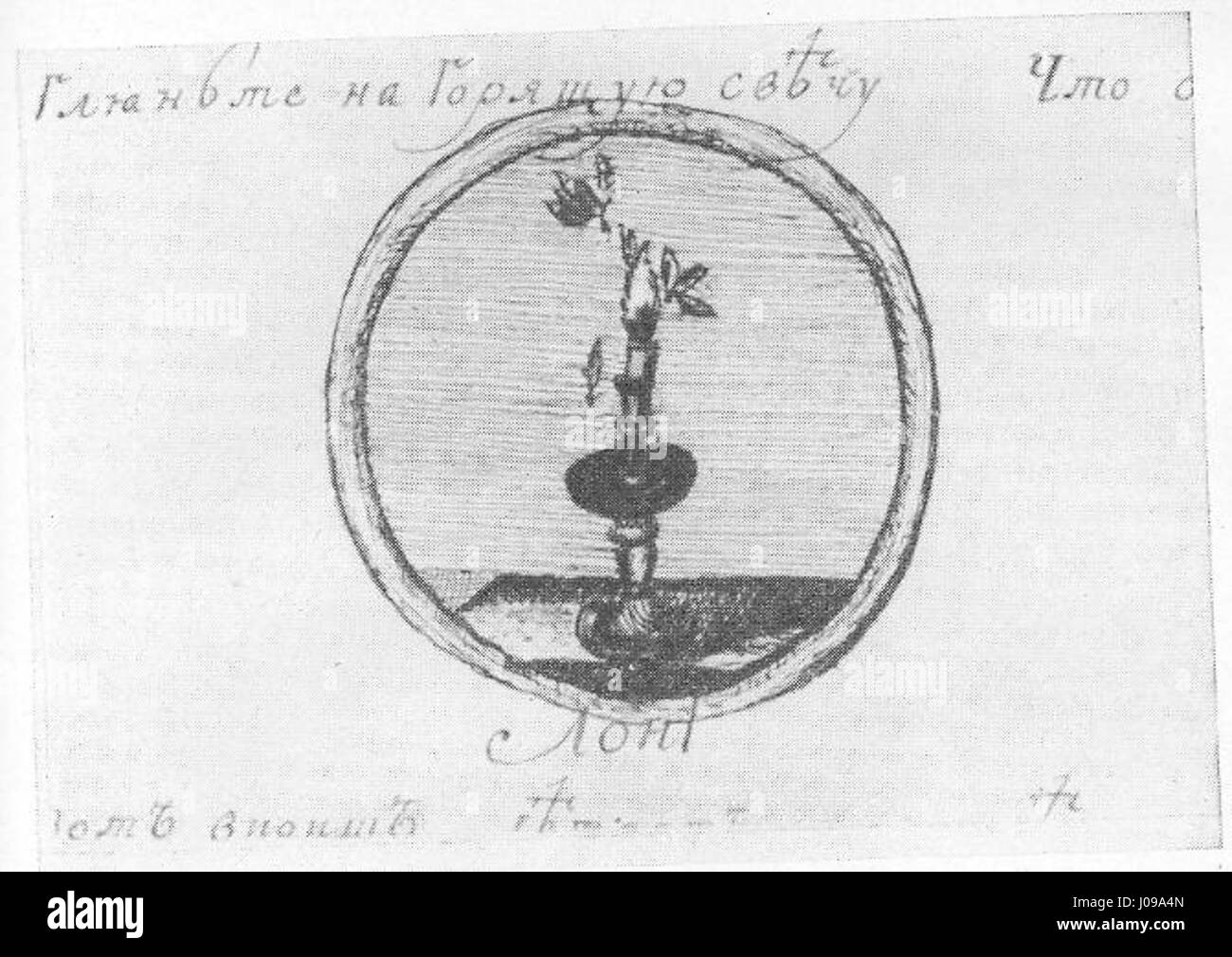 Questo titolo sembra riferirsi ad uno studio anatomico della lingua russa, probabilmente legato al lavoro di Kioseki. Implica una profonda esplorazione dei sistemi corporei e il loro studio dettagliato all'interno della letteratura scientifica storica. Foto Stock