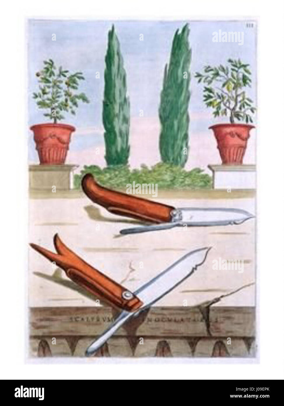 Questo titolo si riferisce a un coltello da giardinaggio, comunemente usato in orticoltura per potare, tagliare e altri compiti. Si tratta di uno strumento chiave per i giardinieri, progettato per gestire in modo efficiente e sicuro varie attività di cura degli impianti. Foto Stock