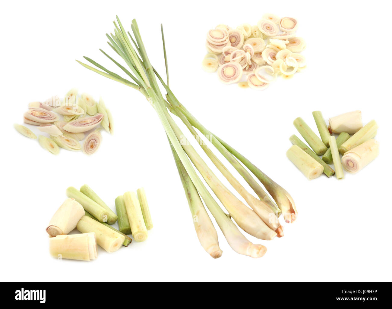 Primo piano freschi di Erba di limone e tagliare a pezzi isolati su sfondo bianco. Foto Stock