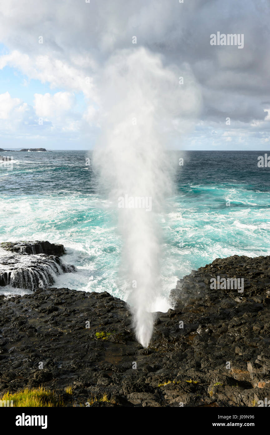 Vista drammatico di Kiama piccolo foro di colpo fragoroso durante una tempesta, Kiama, Illawarra Costa, Nuovo Galles del Sud, NSW, Australia Foto Stock