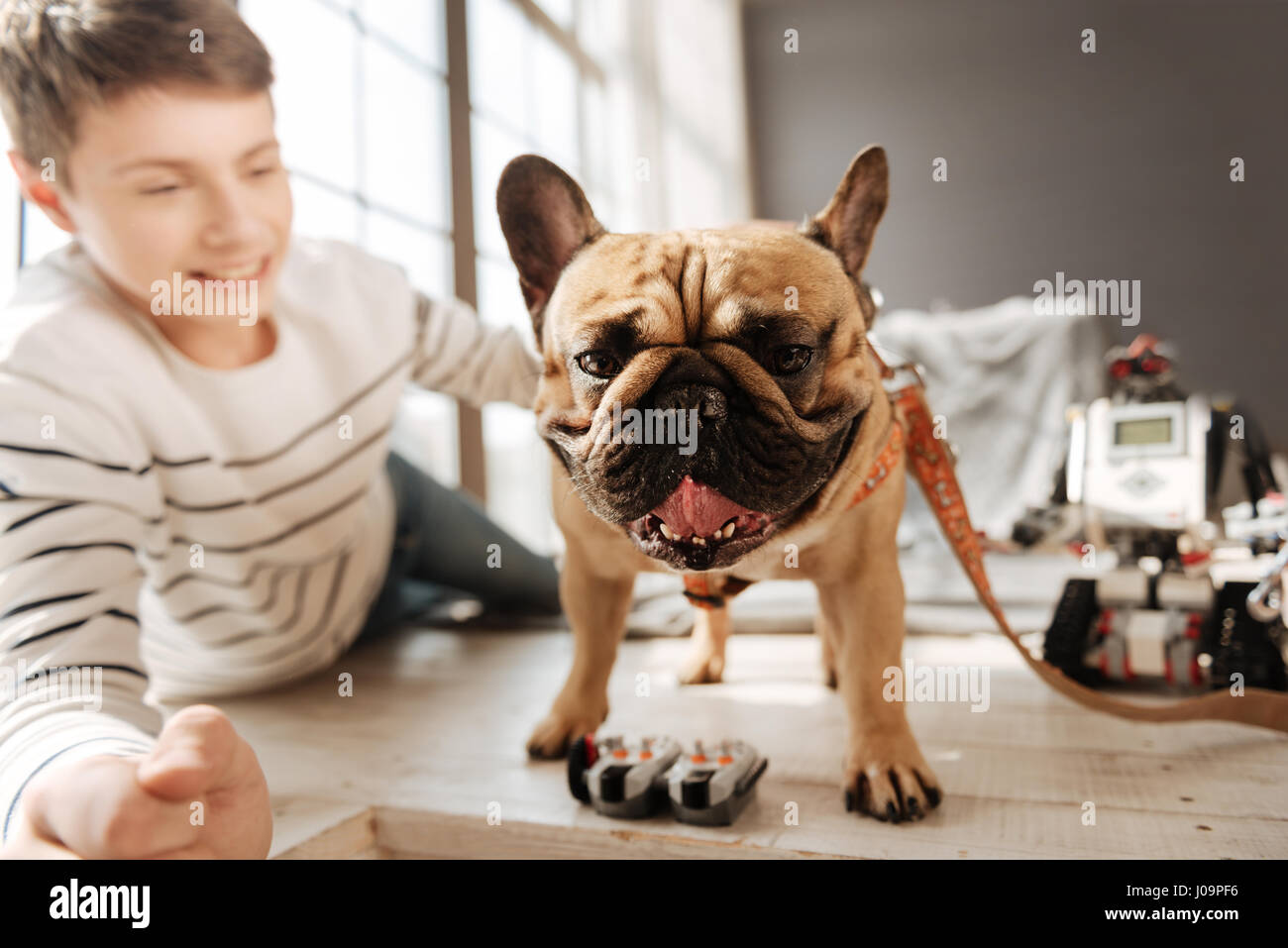 Io sono pronto. Felice ragazzo disteso sul pavimento mentre appoggiata sul gomito fissando il suo animale domestico Foto Stock
