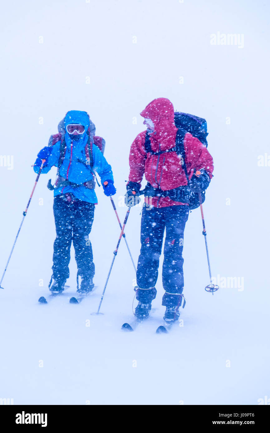 Sci alpinismo in una bufera di neve nelle regioni artiche della Norvegia sulla Troms sentiero di confine Foto Stock