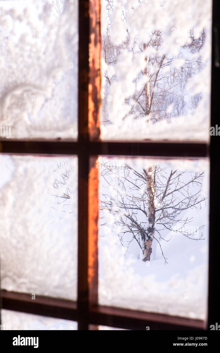 Guardando fuori dalla finestra di una baita norvegese in inverno, alberi e neve al di fuori Foto Stock