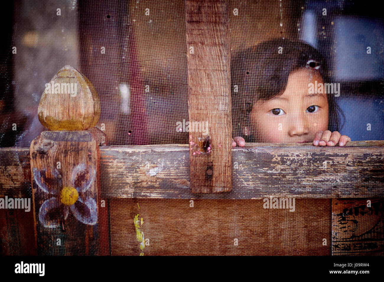 Una giovane ragazza guarda fuori attraverso un schermo del suo appartamento in pensione nazionale e il fondo di previdenza colonia di alloggiamento Thimphu RICB, a Thimphu Bhutan Foto Stock