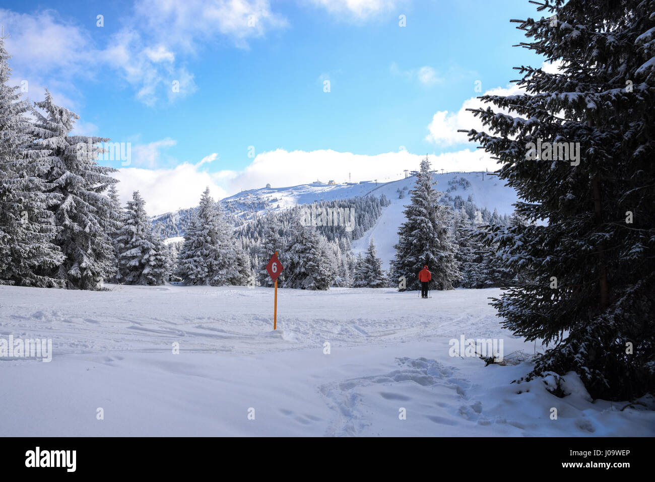 Tracciato di sci 6, vista di Pancic's Peak , Kopaonik resort, Serbia. Foto Stock