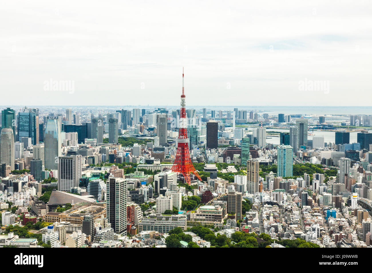 Vista aerea della Torre di Tokyo e dello skyline della città e Shiba-koen distretto di Minato, Tokyo, Giappone Foto Stock