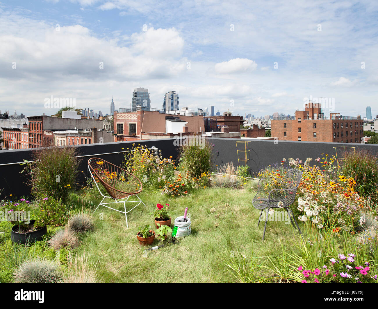 Il tetto verde con giardino fiorito e viste di Brooklyn e Manhattan. 174  Grand Street, New York, Stati Uniti. Architetto: Loadingdock 5  Architettura, 2 Foto stock - Alamy