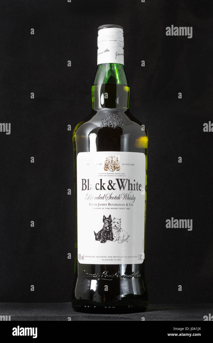 KIEV, UCRAINA - 17 Aprile 2016: Bianco e nero Scotch whisky blended Etichetta flacone closeup su nero. Esso è stato originariamente prodotto da Londra James Buchan Foto Stock