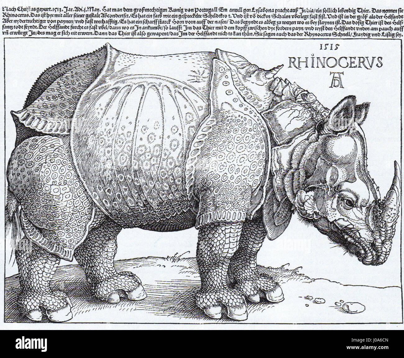 Rhinocerus xilografia (1515) Albrecht Dürer Foto Stock