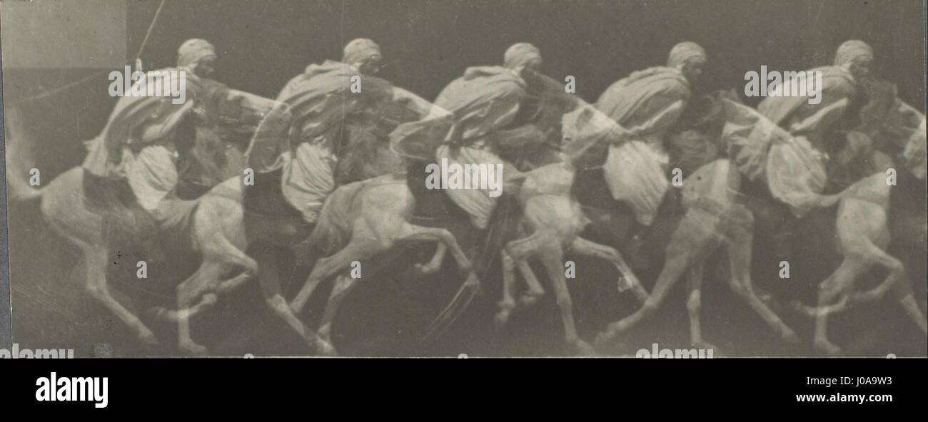 Étienne-Jules Marey - Cavallo Arabo Gallup - Foto Stock