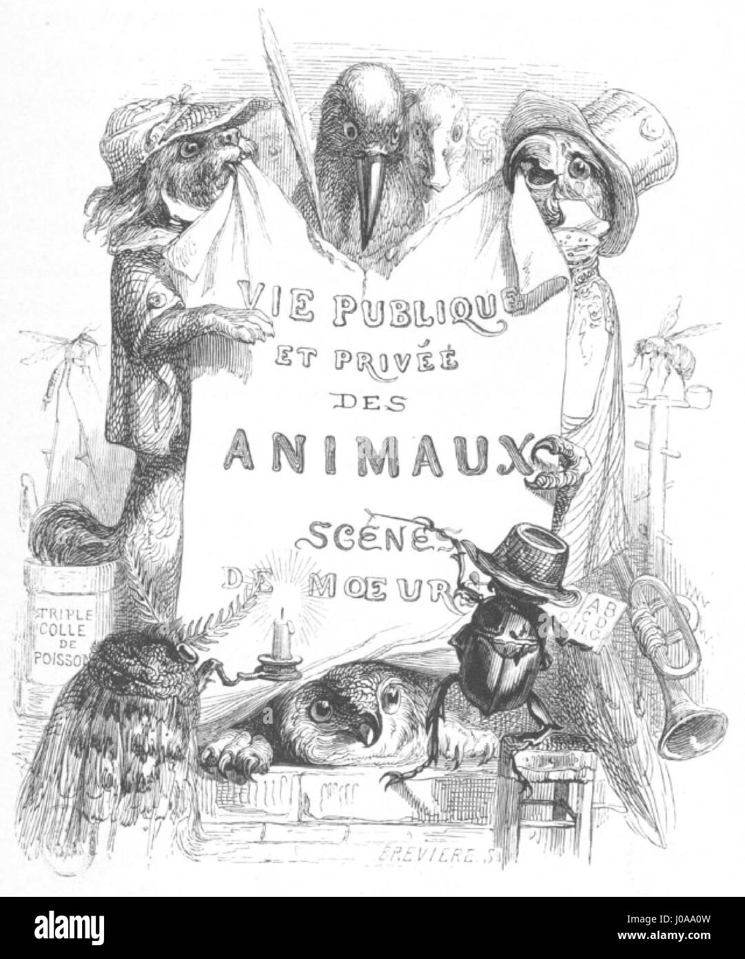 Questo lavoro, 'Scènes de la vie privée et publique des animaux' (Scene della vita privata e pubblica degli animali), volume 1, esplora il comportamento degli animali sia in ambiente domestico che selvaggio. La serie offre un ritratto dettagliato degli animali nei loro habitat naturali, osservando le loro strutture sociali, interazioni e ruoli in diversi ambienti. Foto Stock