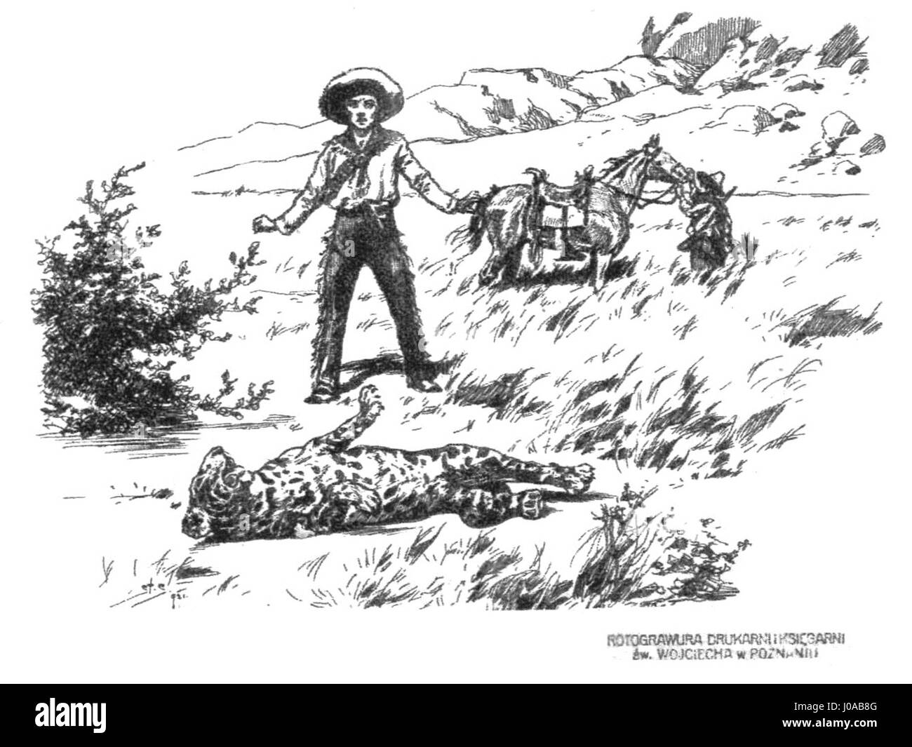 Questa è un'immagine di "Sepie Gniazdo" (nido di seppie), probabilmente un'opera d'arte o un'illustrazione, incentrata sulla vita marina o sul mondo naturale nella sua rappresentazione di un nido di seppie. Foto Stock