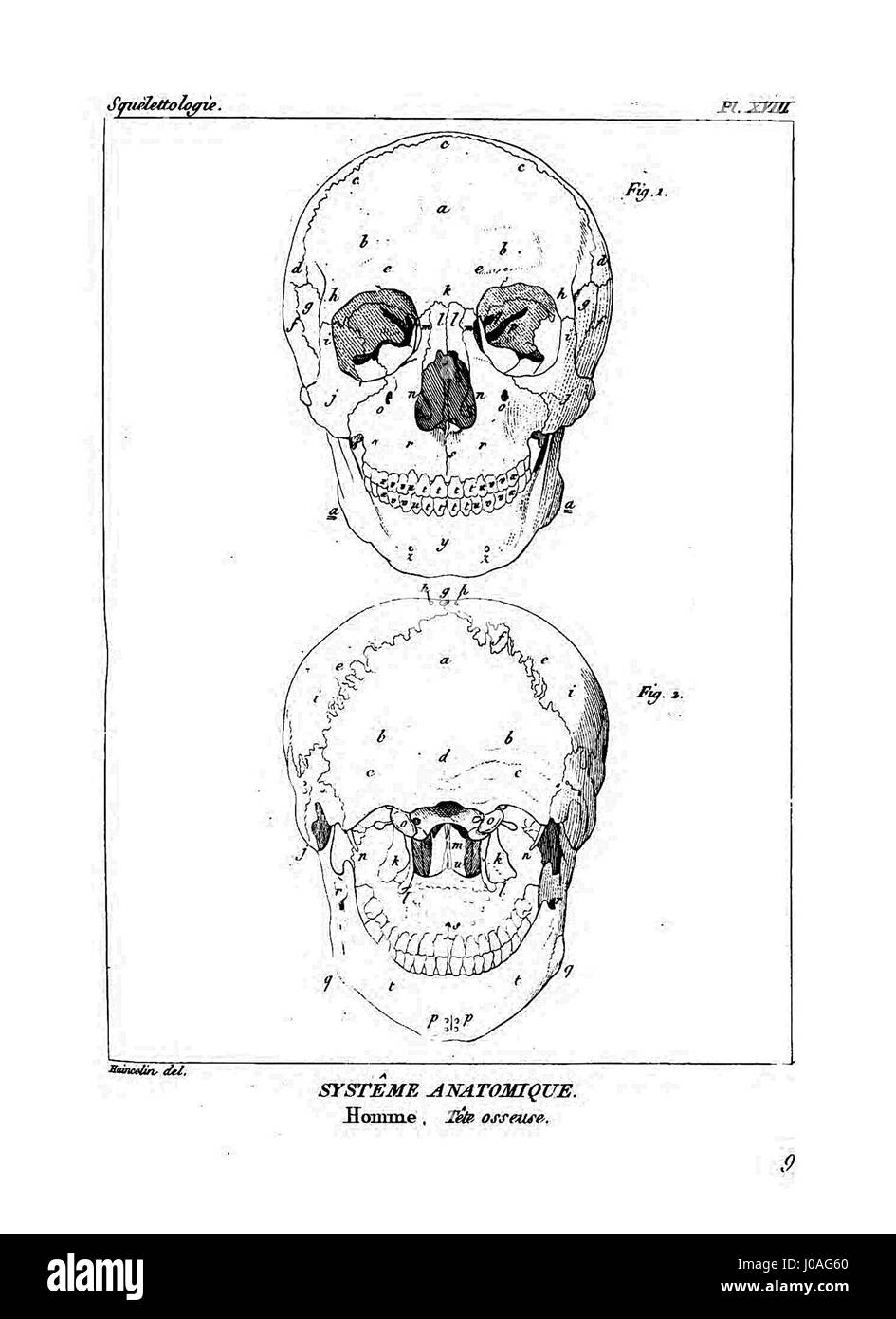 Questa placca dell'Encyclopédie méthodique*, raffigurante il sistema anatomico umano, fa parte di una serie che illustra le strutture anatomiche dettagliate. La placca presenta una rappresentazione completa degli organi e dei sistemi del corpo umano, contribuendo alla comprensione della fisiologia umana durante il periodo illuministico. Foto Stock