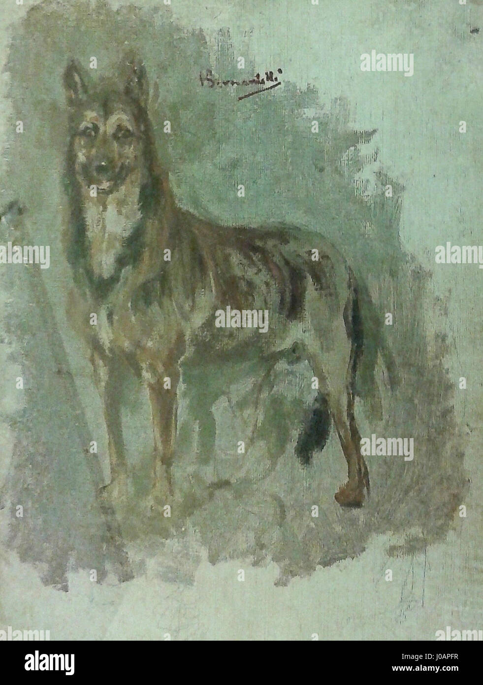 Questo studio di Henrique Bernardelli su un cane dimostra la sua acuta abilità osservativa e capacità di catturare l'essenza degli animali con un alto grado di realismo. Foto Stock