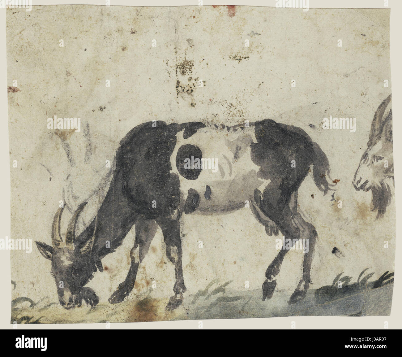 Lo "Studio con le capre" di Lucas Cranach il Vecchio (1520-1530) esemplifica la sua maestria nel fondere il naturalismo dettagliato con temi mitologici. L'opera presenta capre in un ambiente pastorale, che riflette l'attenzione dell'artista per i dettagli e la sua capacità di infondere soggetti classici con sensibilità del Rinascimento settentrionale. Foto Stock