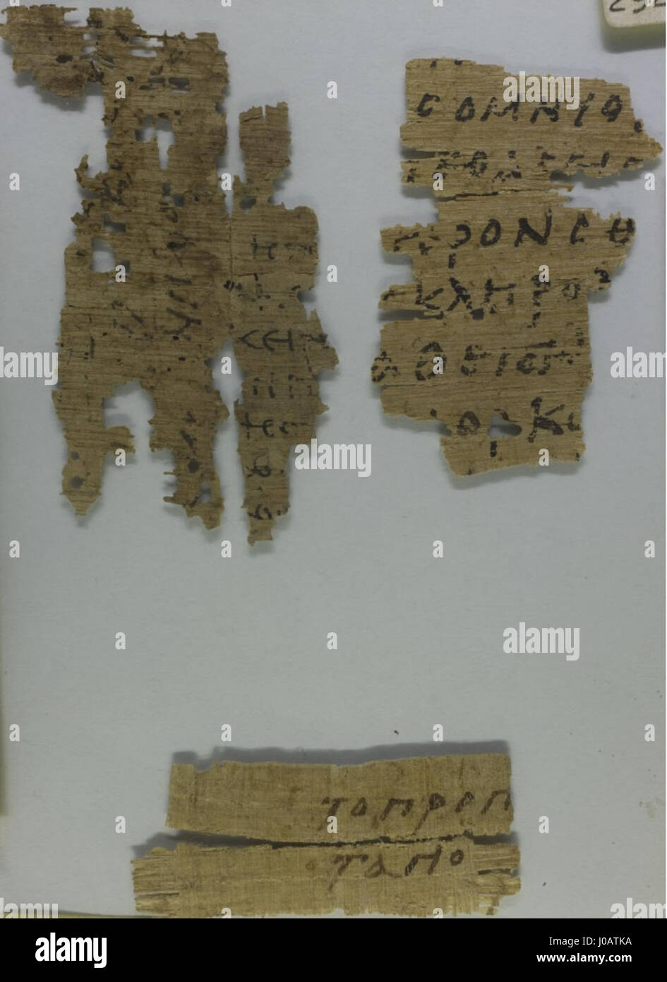 Il Papiro 89, ospitato nella Biblioteca Laurenziana, contiene un frammento di ebrei 6:7–9,15–17, che mostra i primi scritti scritturali cristiani in greco, evidenziando l'importanza religiosa e storica del manoscritto. Foto Stock