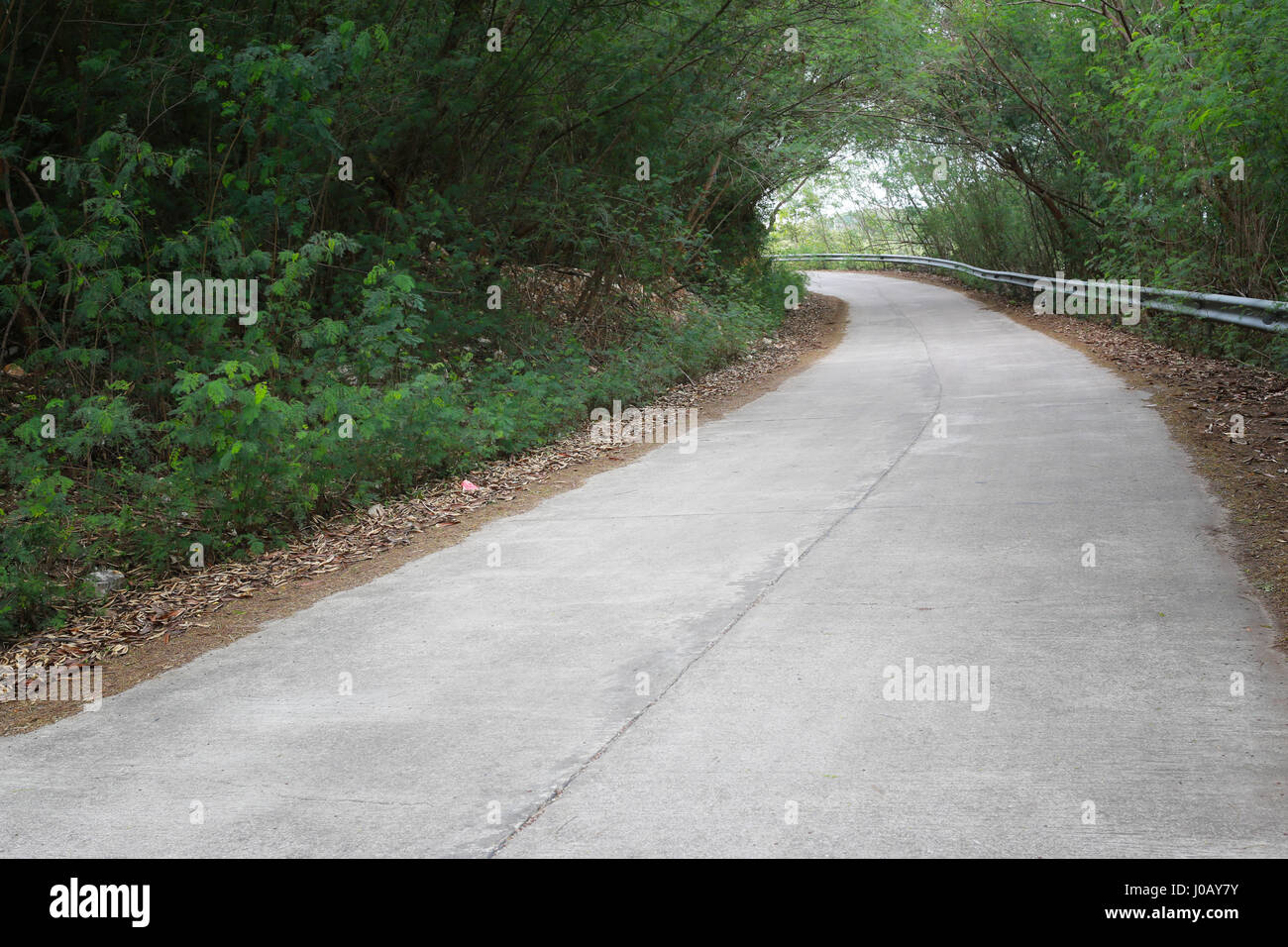 Vecchia strada nella foresta ricoperta di verde di alberi tropicali. Foto Stock