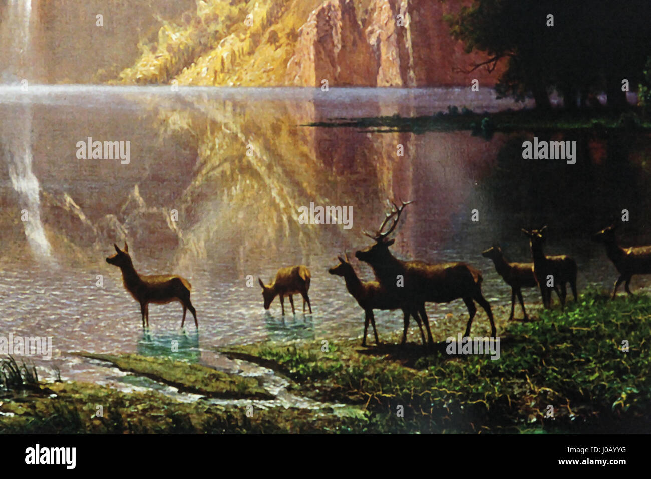 Il «Gasometer - Der schöne Schein» (l'aspetto bello) di Oberhausen presenta una struttura industriale impressionante. La fotografia cattura l'intricato design e i riflessi della luce, mostrando il contrasto tra l'architettura moderna e la storia industriale. Foto Stock