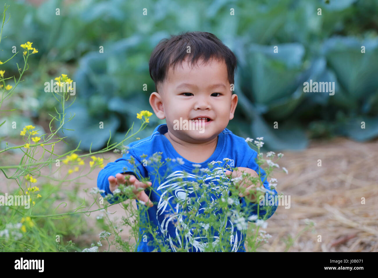 Thailandia felice ragazzo in orto,ritratti in concetto cuteness dei bambini asiatici. Foto Stock