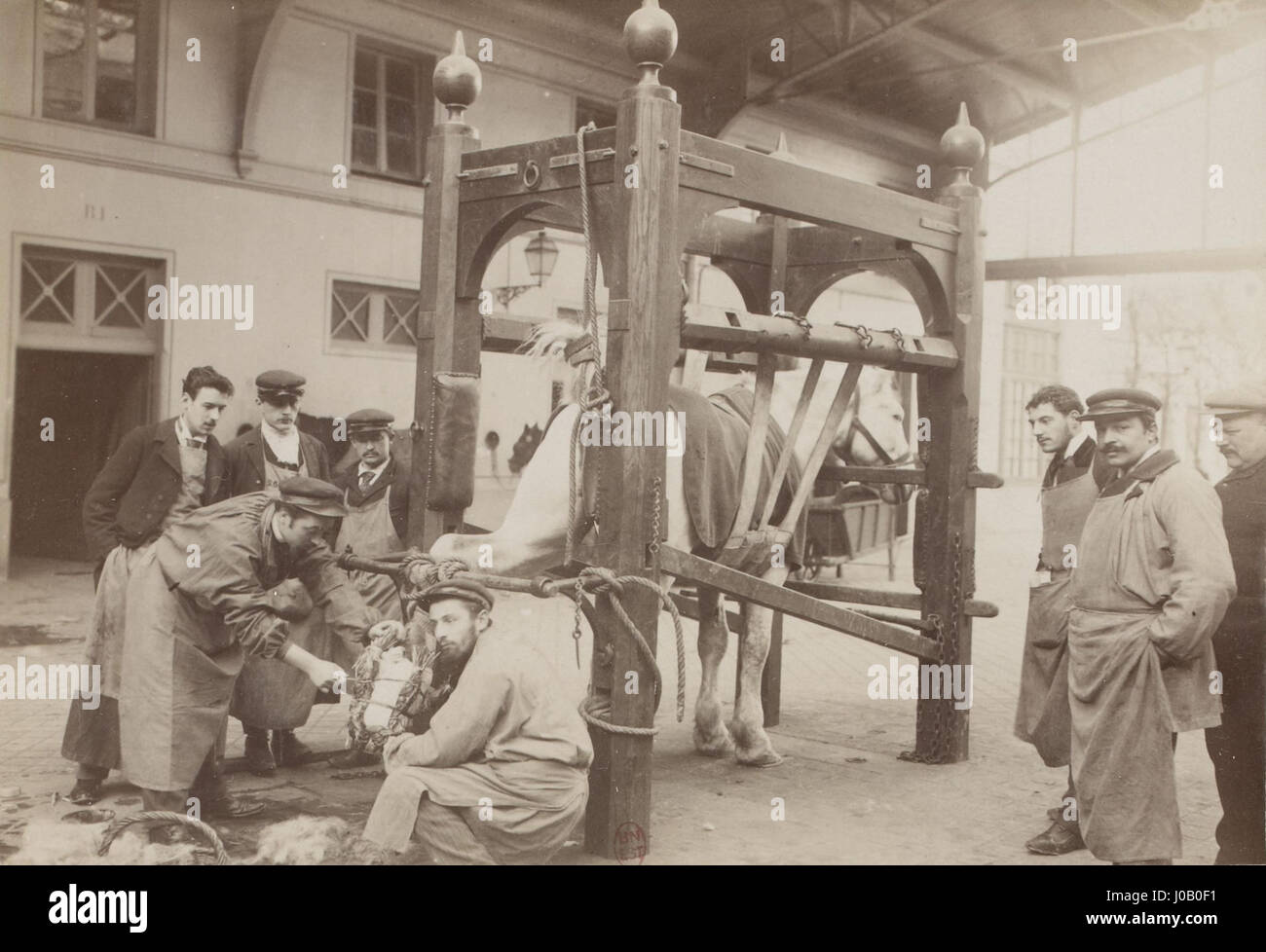 Questa illustrazione dell'École nationale vétérinaire d'Alfort (1899) cattura l'iconica scuola veterinaria francese, sottolineando il suo ruolo nell'educazione veterinaria e nel progresso delle scienze animali durante la fine del XIX secolo. Foto Stock