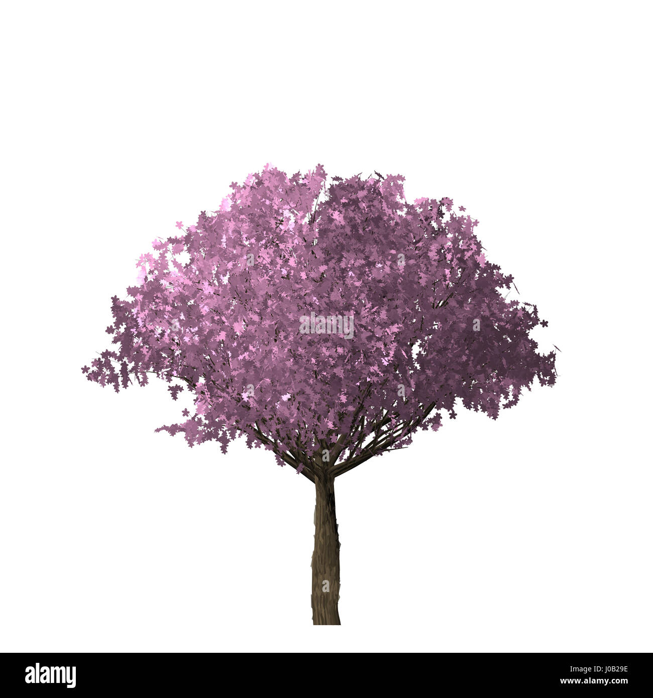 Rosa albero della computer grafica nel creare isolati su sfondo bianco. Foto Stock
