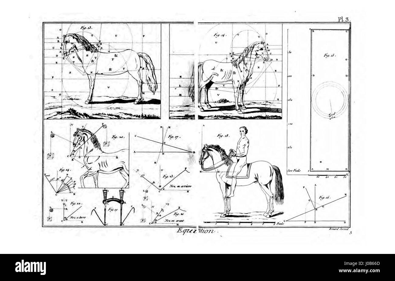 Questa incisione dell'"Encyclopédie méthodique" si concentra sulle arti accademiche, comprese le rappresentazioni di forme d'arte classica come l'equestrismo. Foto Stock