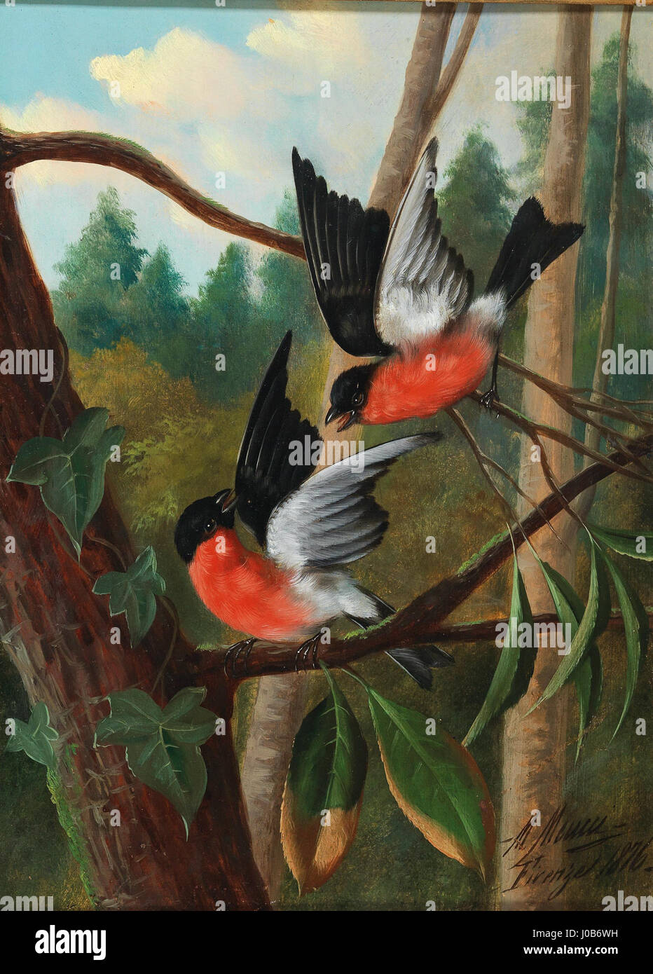 Zwei Vögel im Streit di Michelangelo Meucci (due uccelli in disputa), che illustra una scena della natura. Foto Stock