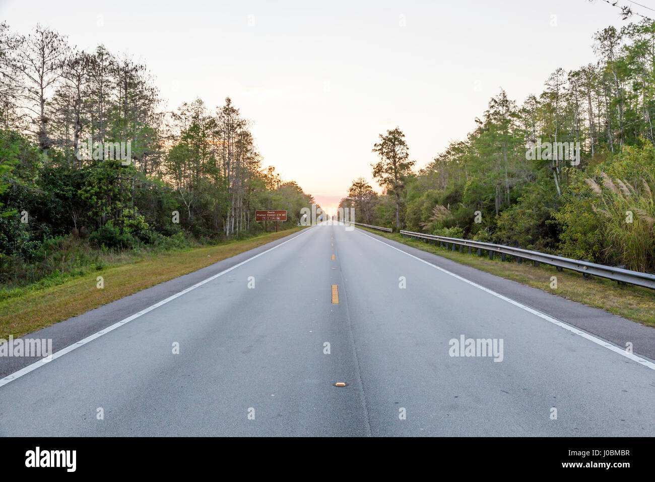 Sentiero Tamiami per voli scenic highway US 41 vista al tramonto. Florida, Stati Uniti Foto Stock