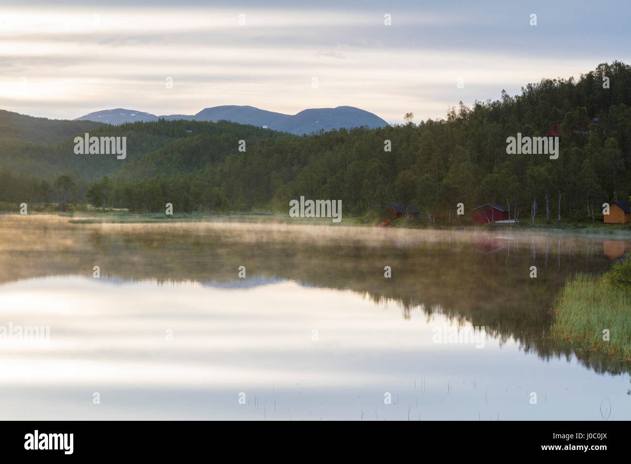 Verdi boschi vengono riflesse nelle calme acque di una palude di notte, Bogen, Evenes, Ofotfjorden, Nordland, Norvegia e Scandinavia Foto Stock