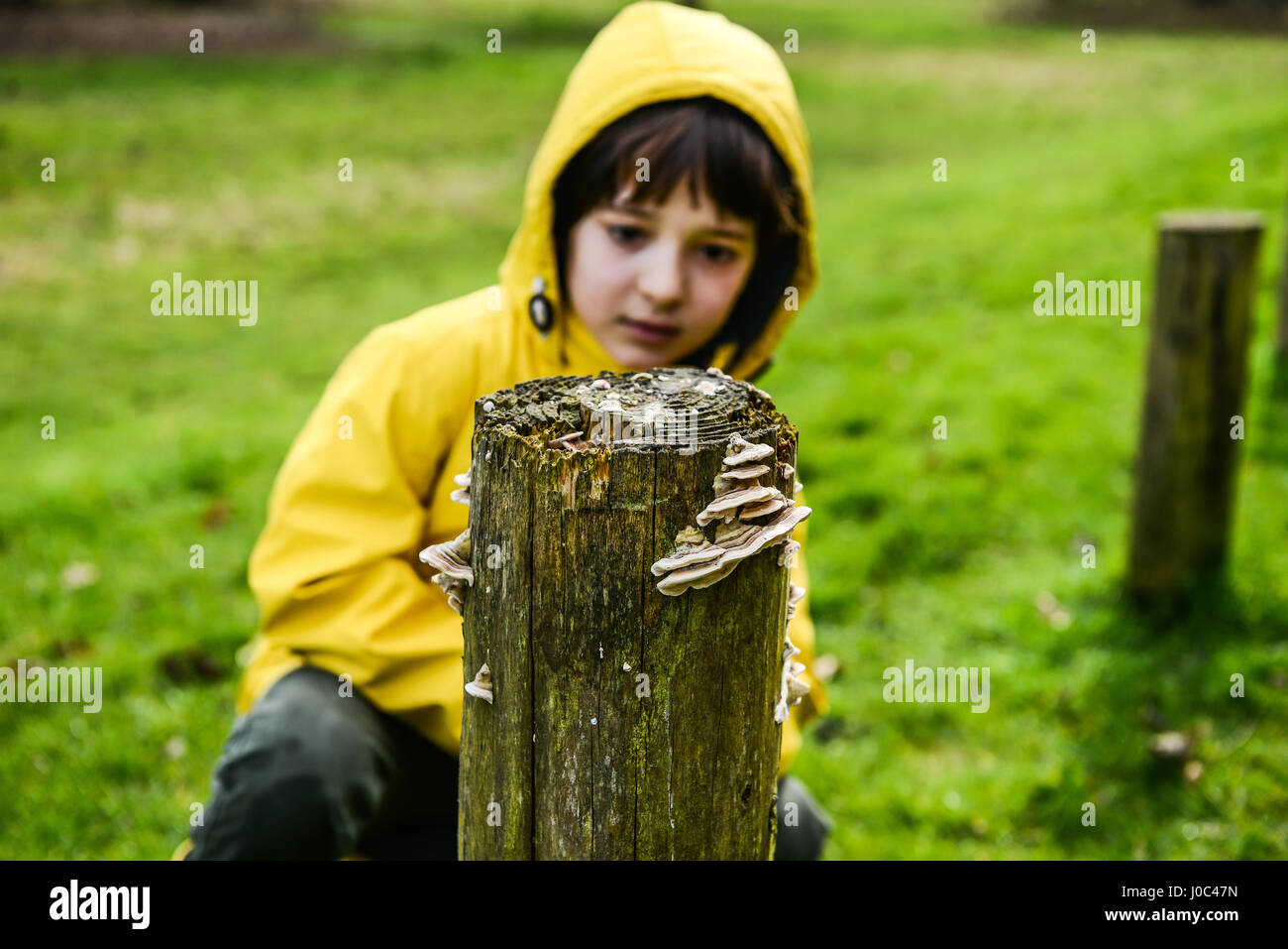 Ragazzo in giallo giacca a vento guardando park fencepost Foto Stock