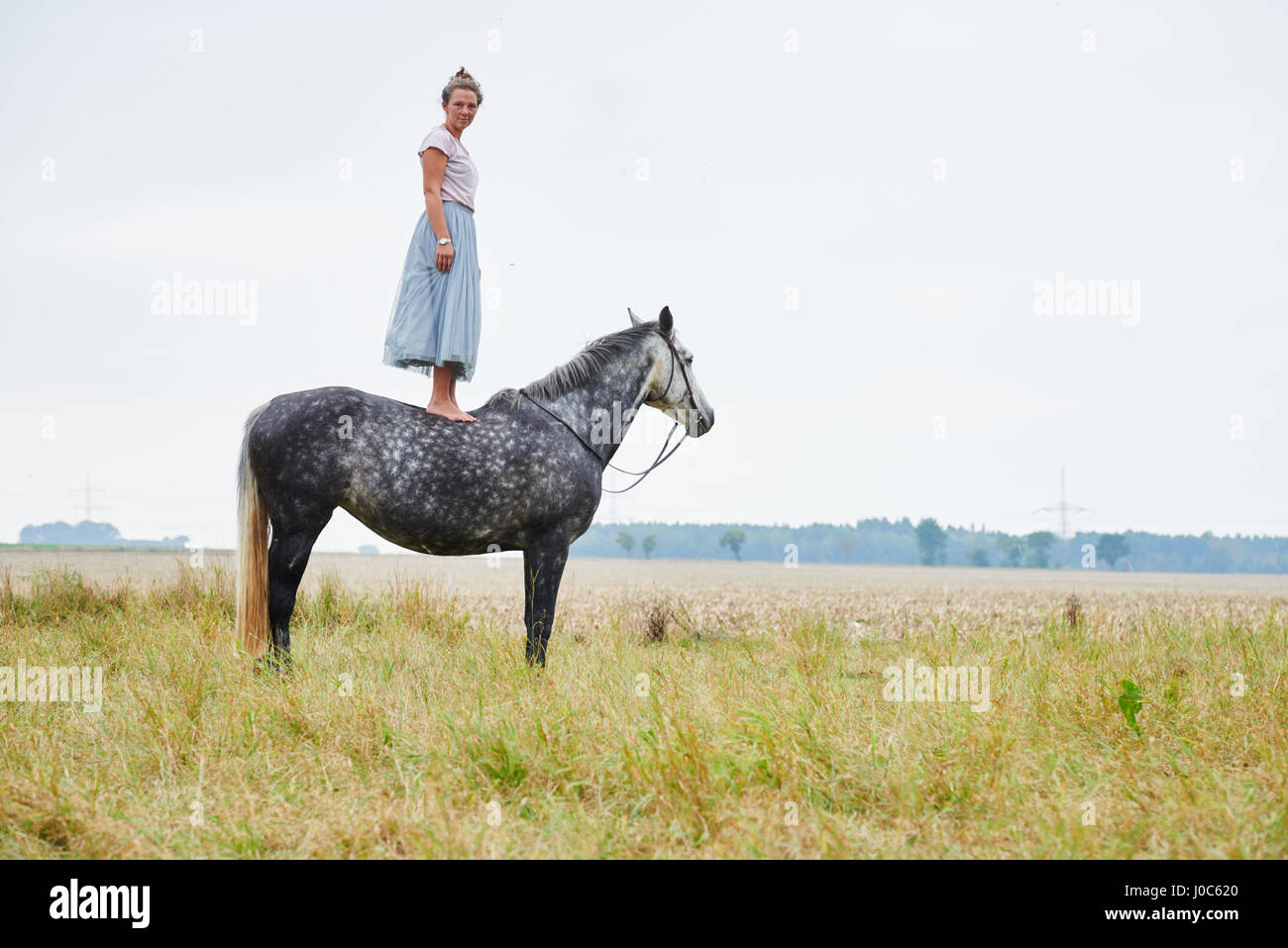 Donna in gonna permanente sulla sommità delle colline punteggiano cavallo grigio nel campo Foto Stock