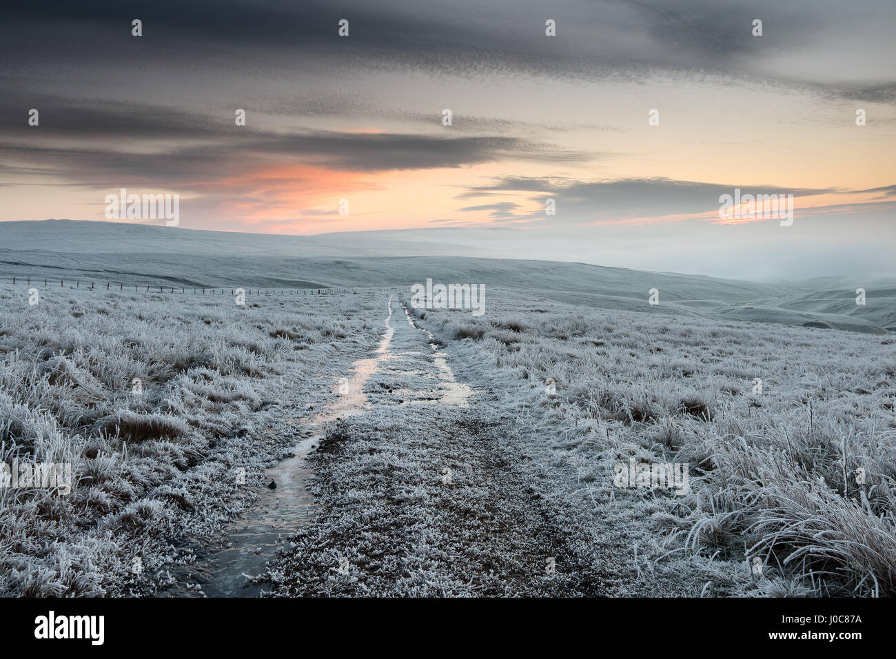 Trasformata per forte gradiente nord smerigliato Pennine Moors e il congelamento di nebbia, Spitley Lingua, Harwood, Teesdale, County Durham Regno Unito. Foto Stock
