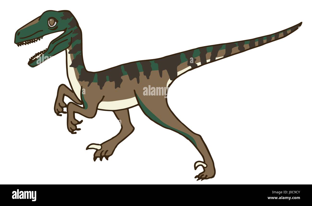 Carino Velociraptor o Raptor dinosauro Stalking preda, o magari correre, camminare o in piedi. Illustrazione Vettoriale