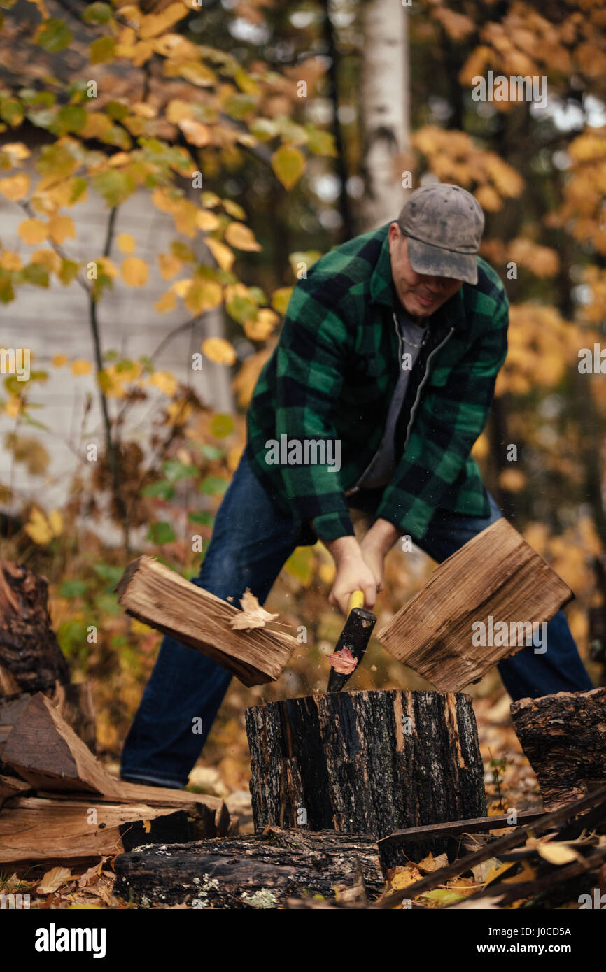 Uomo maturo i registri di suddivisione in autunno la foresta, Upstate New York, Stati Uniti d'America Foto Stock