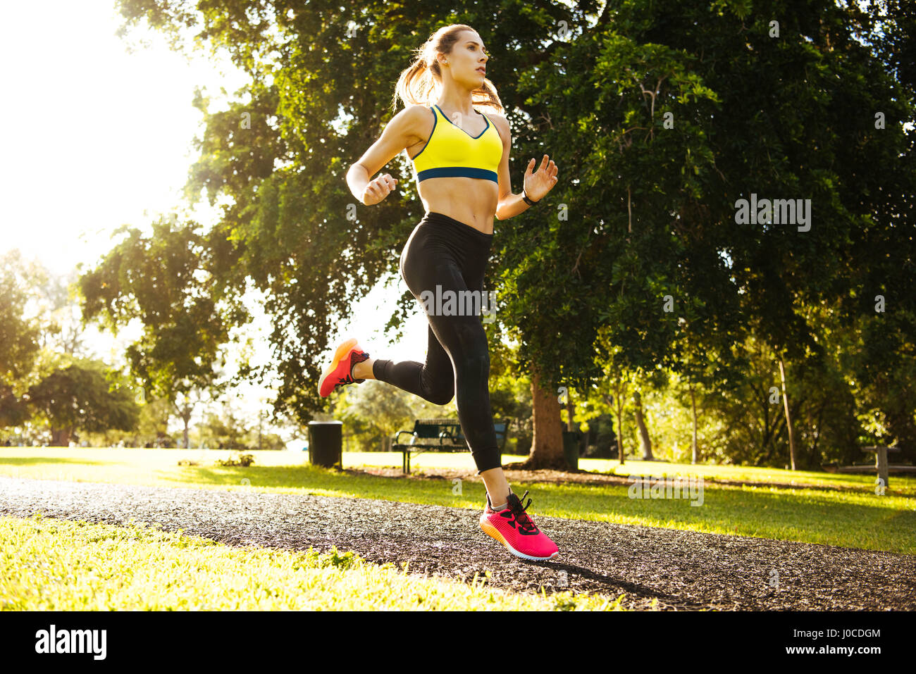 Giovani femmine runner acceso attraverso park Foto Stock