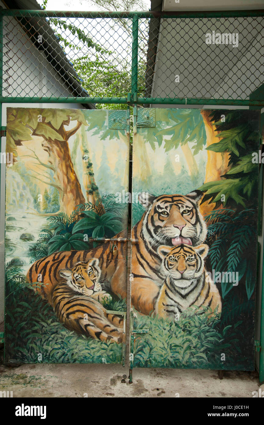 Tiger dipinta sul gate, srircha tigar zoo, Thailandia, asia Foto Stock