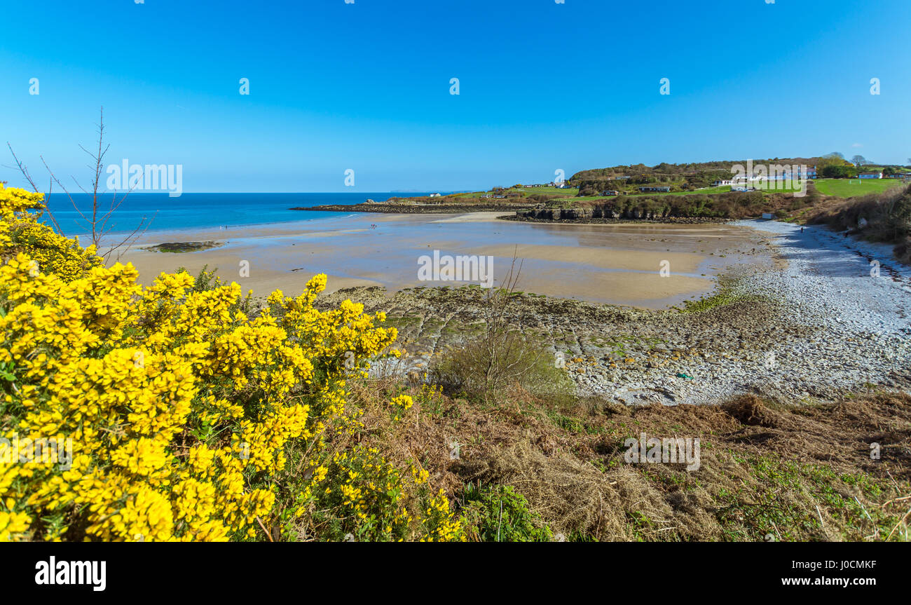 Viste dal sentiero costiero da Traeth Bychan a Benllech sull'Isola di Anglesey Foto Stock