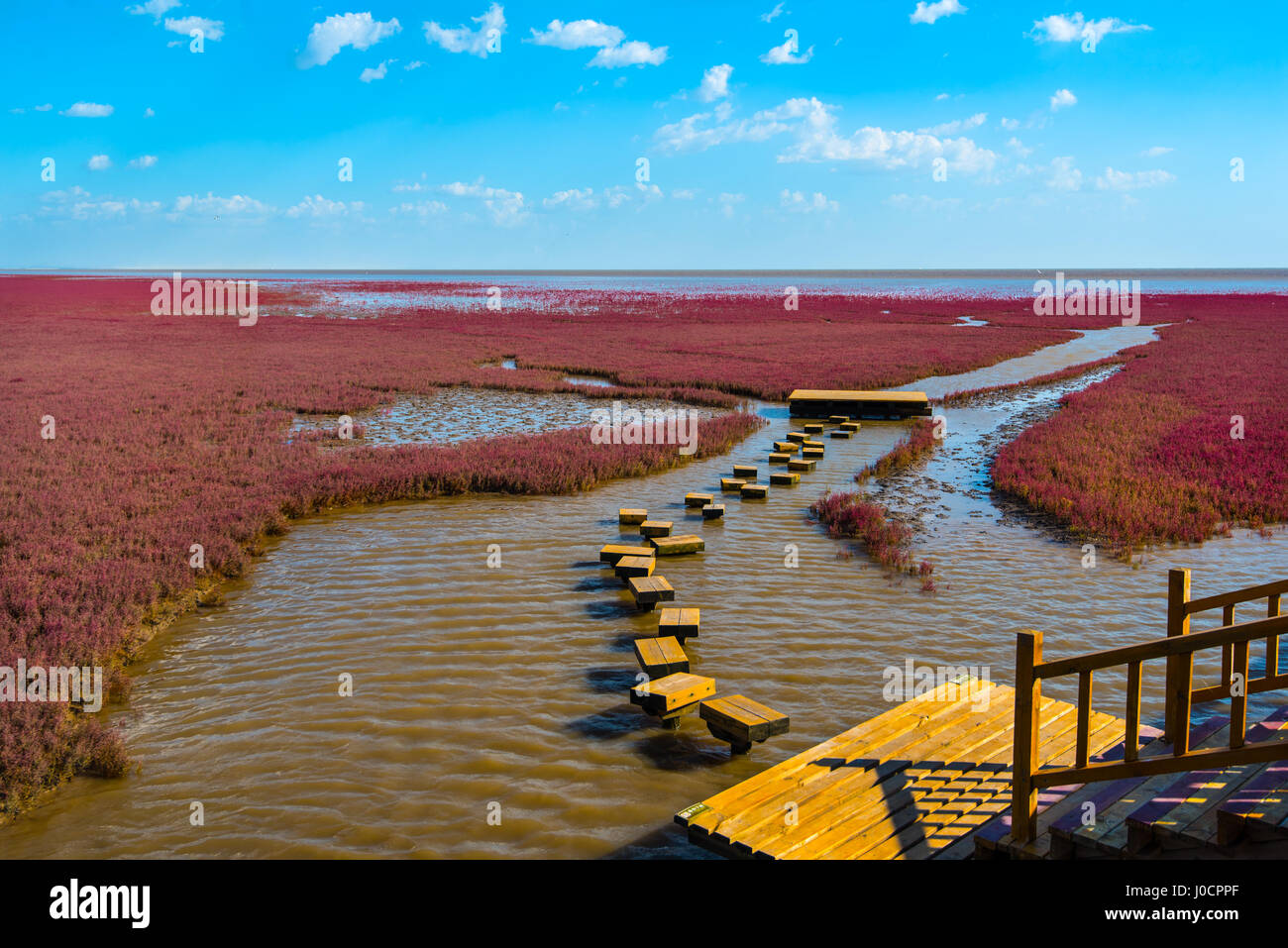 Red Beach, situato nel Delta Liaohe alcuni 30km a sud ovest di Panjin, Liaoning, Cina. La spiaggia è una zona paludosa e di enorme importanza per gli uccelli Foto Stock