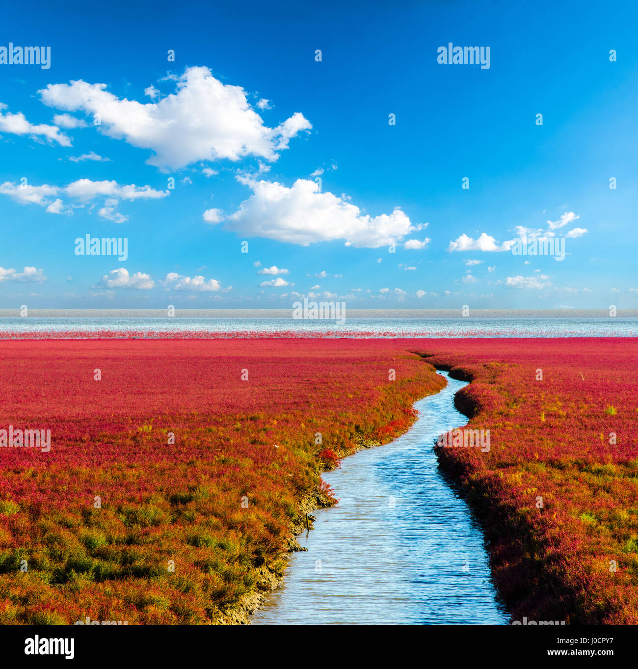 Red beach, panjin, china immagini e fotografie stock ad alta