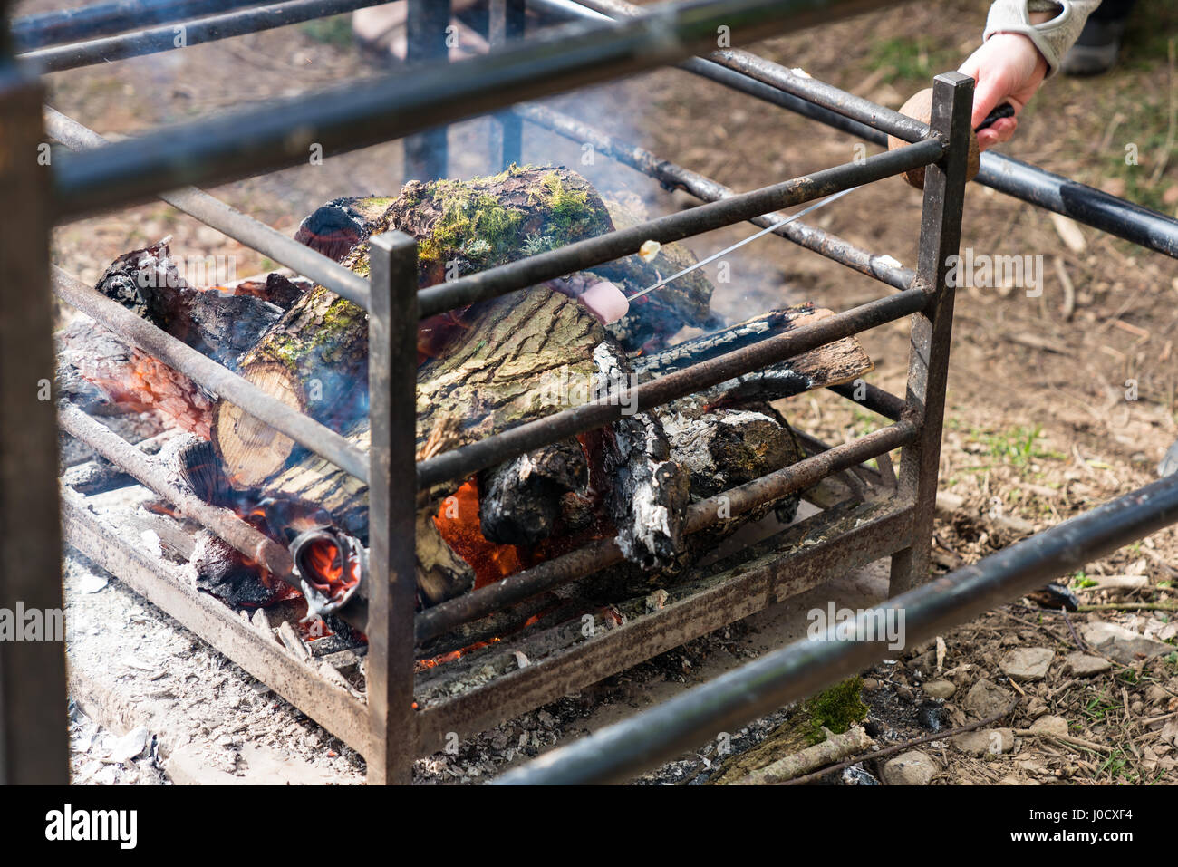 Tal-y-Cafn, Galles. 11 aprile 2017. La tostatura marshmallow all'apertura del forno legno area di Giardini di Bodnant Credito: Fotan/Alamy Live News Foto Stock