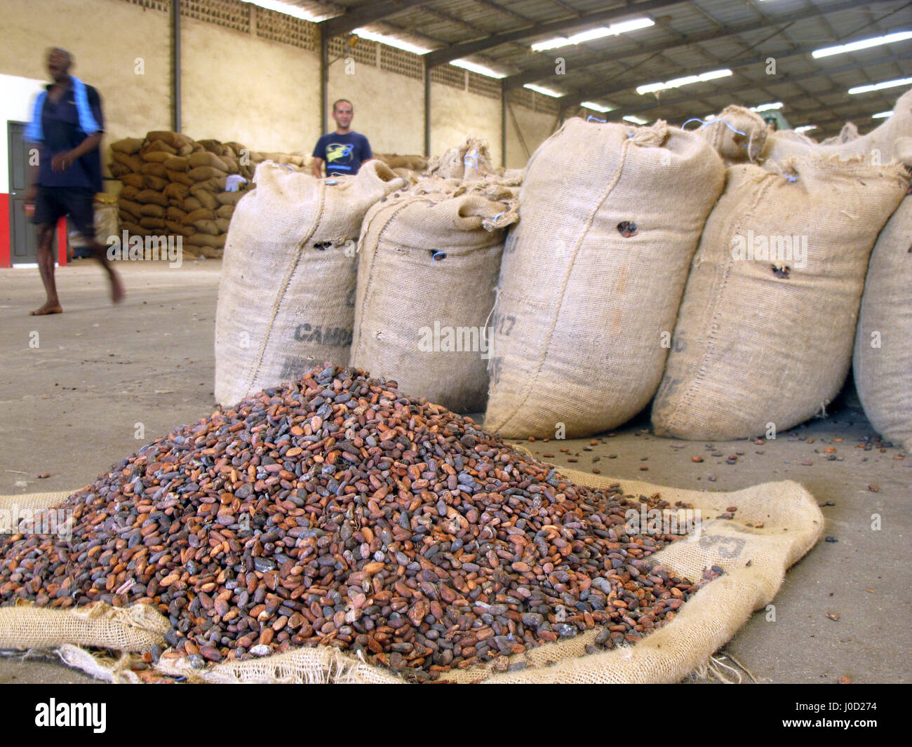 San-Pedro, Costa d'Avorio. Xxi Mar, 2017. Le fave di cacao su un tappetino per essiccamento in San-Pedro, Costa d Avorio, 21 marzo 2017. Una grande percentuale dei raccolti i fagioli non possono essere elaborati immediatamente e sono quindi asciugato prima di essere rimpacchettato e inviato a uno dei pochi rimanenti fabbriche del paese. Foto: Alex Duval/dpa/Alamy Live News Foto Stock