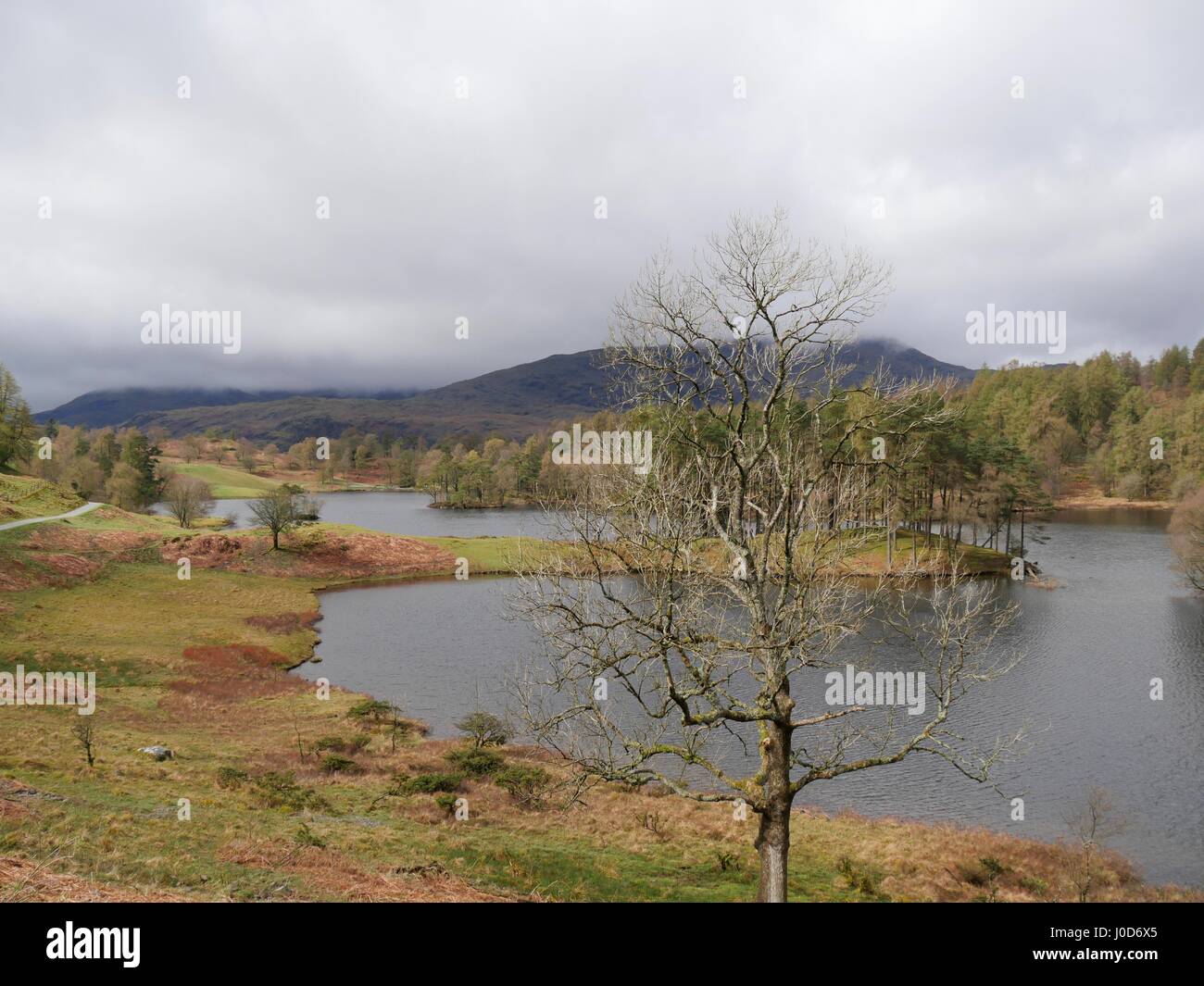 Tarn Hows vicino a Coniston, Cumbria, Regno Unito. Xii Apr, 2017. La gente fuori a godersi una passeggiata intorno a questo National Trust area naturale del distretto del lago in un giorno di tempo nuvoloso con occasionali di sole e docce. © DTNews/Alamy Live Credito: Dan Tucker/Alamy Live News Foto Stock