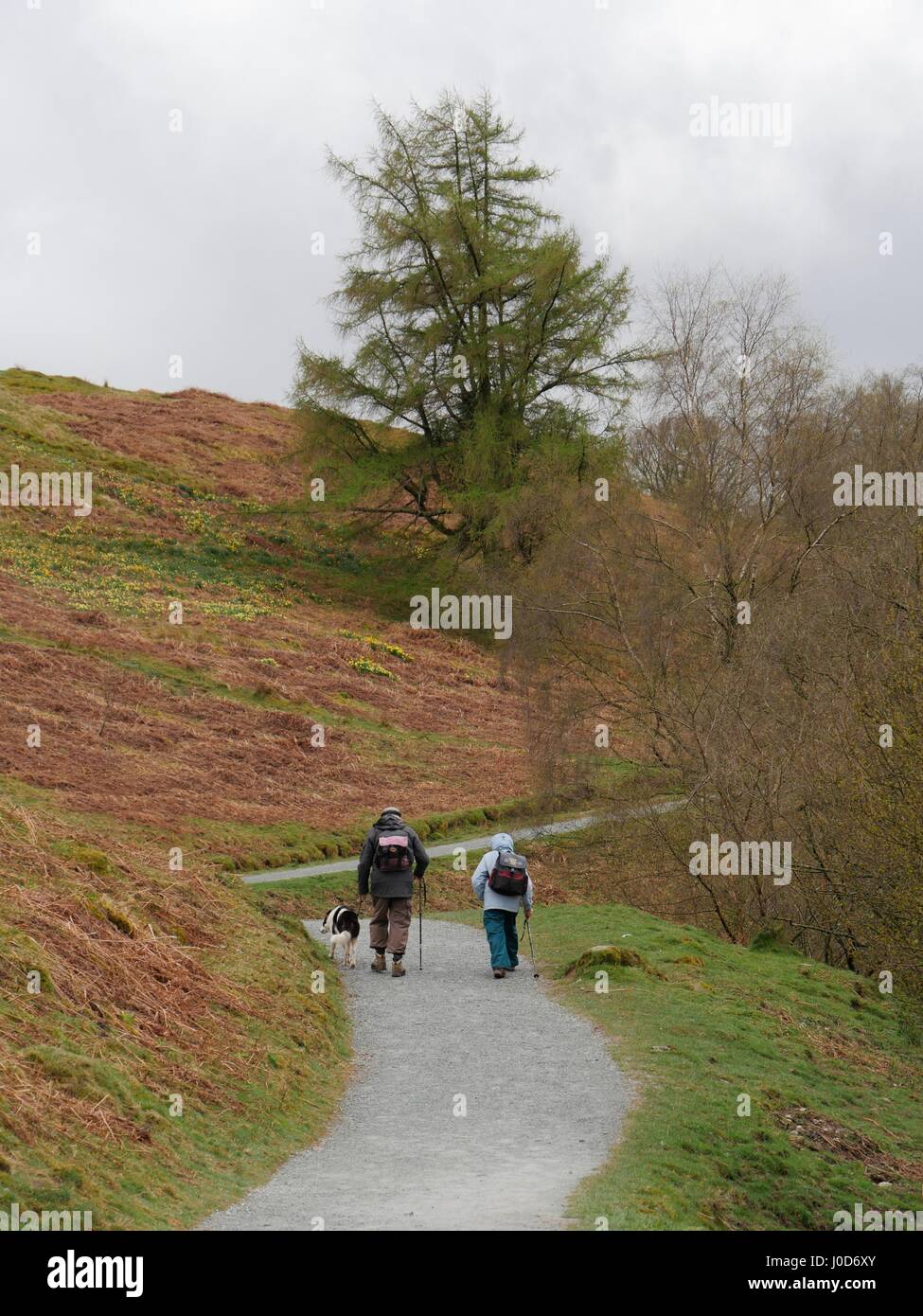 Tarn Hows vicino a Coniston, Cumbria, Regno Unito. Xii Apr, 2017. La gente fuori a godersi una passeggiata intorno a questo National Trust area naturale del distretto del lago in un giorno di tempo nuvoloso con occasionali di sole e docce. © DTNews/Alamy Live Credito: Dan Tucker/Alamy Live News Foto Stock