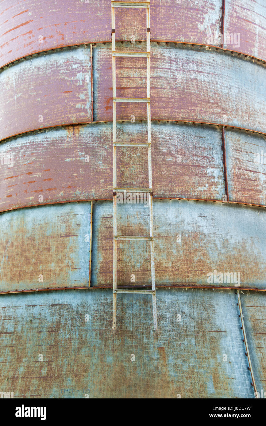 Rusty Silos con scaletta sulla fattoria in North Carolina. Foto Stock